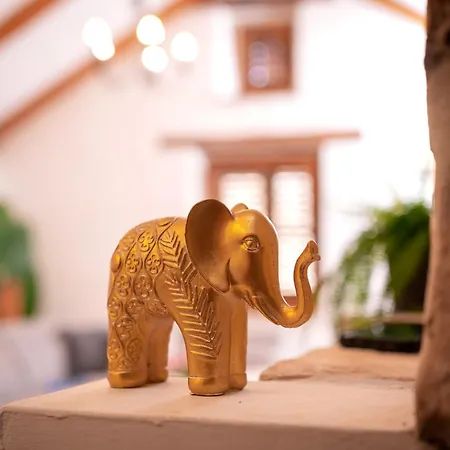 Marea - Old Town Retreat Hvar Town